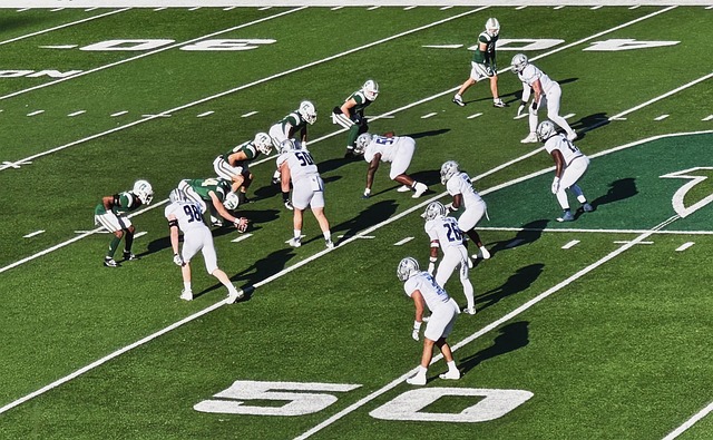 布魯諾迅速 布魯諾迅速