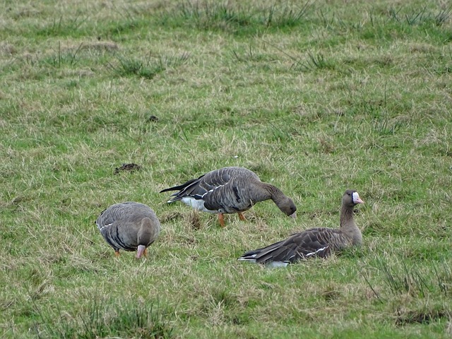 这无疑是这 这无疑是这