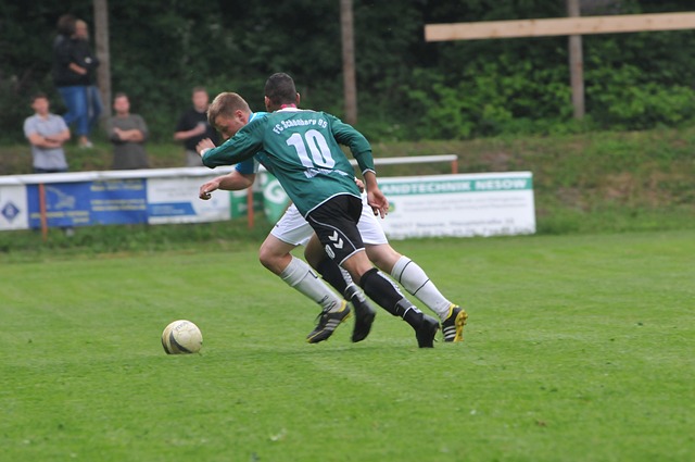 萄牙体育的 萄牙体育的